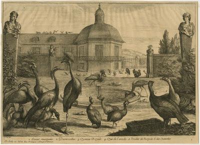 View of a garden with a fountain surrounded by several birds
