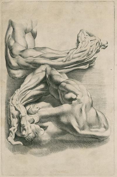 Left arm and hand in two positions with part of torso and head