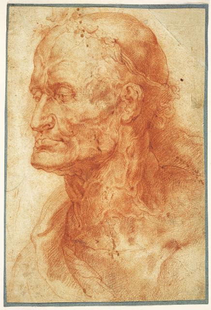 Study Head of an old Man