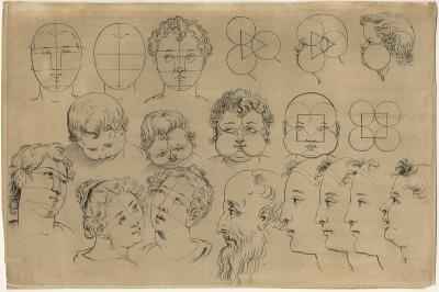 Study of human heads