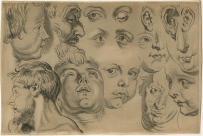 Study of human faces, eyes, ears and chins