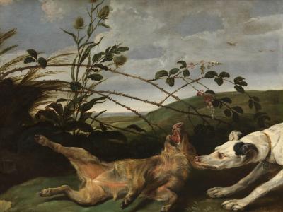  A Greyhound Catching a Young Wild Boar